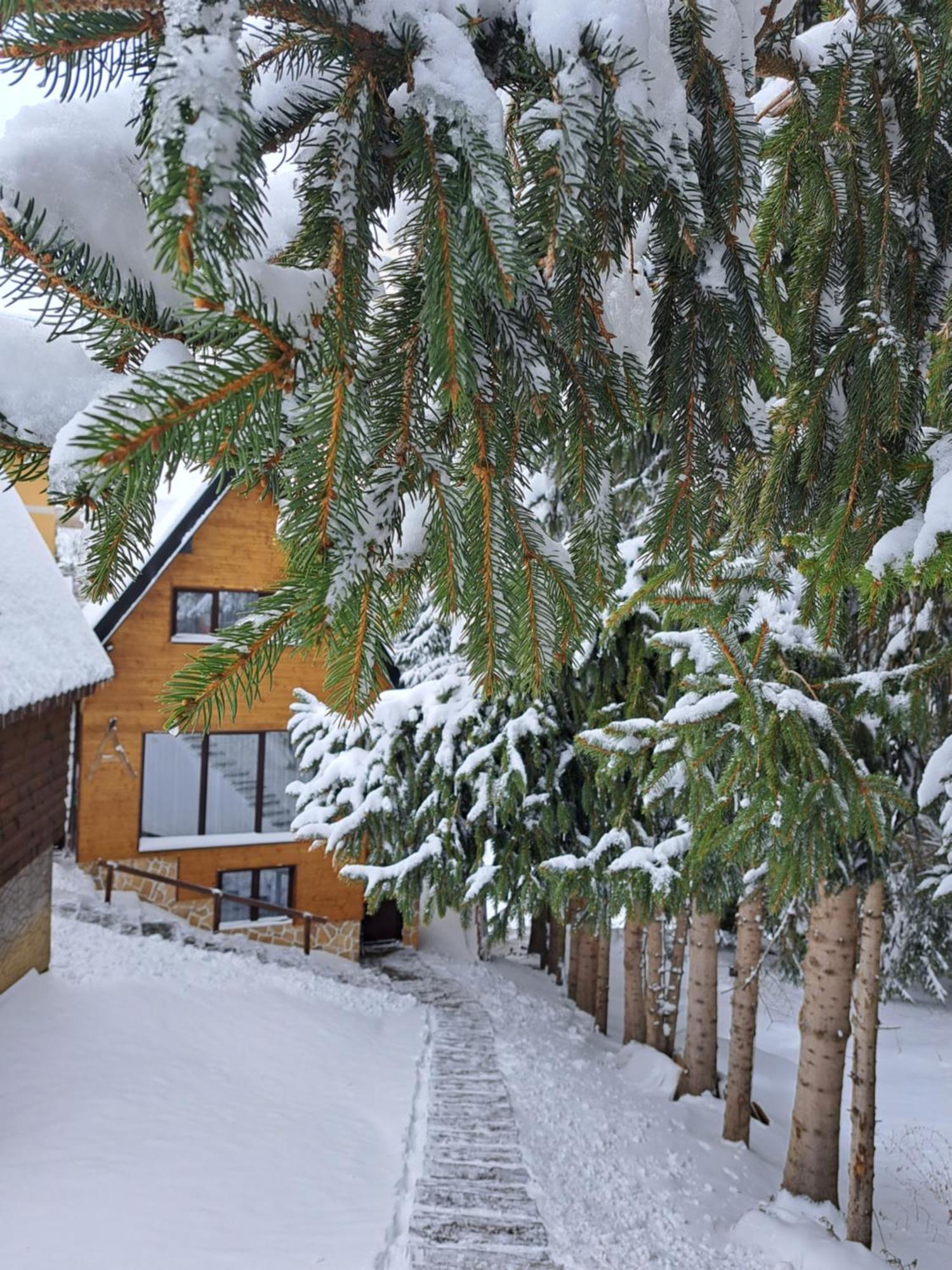 Villa Zagorka And Mountain Houses A, M, D Kopaonik Buitenkant foto